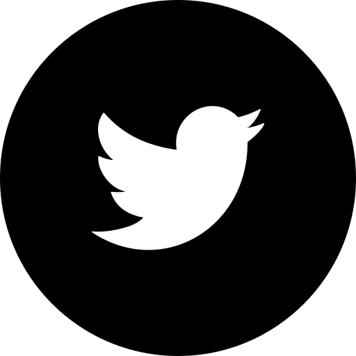 Social icon 5